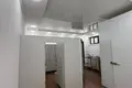 Коммерческое помещение 255 м² в Ташкенте, Узбекистан