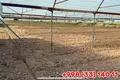 Mol,Dehqon bozori hamda parrandachilik va chorvachilik kompleksi hammasi birga sotiladi