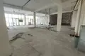Коммерческое помещение 240 м² в Ташкенте, Узбекистан