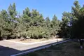 Коммерческое помещение 2 000 м² в Ташкенте, Узбекистан