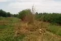 Земельные участки  Ташкент, Узбекистан