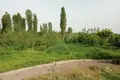 Земельные участки  Ташкент, Узбекистан
