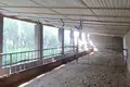 Земельные участки  Букинский район, Узбекистан