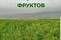 Земельные участки  Ташкентская область, Узбекистан