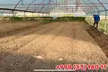 Mol,Dehqon bozori hamda parrandachilik va chorvachilik kompleksi hammasi birga sotiladi