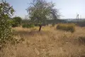 Yer  in Qibray district