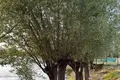 Коттедж 4 комнаты  Ташкент, Узбекистан