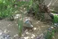 Дом  Уртасарай, Узбекистан