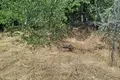 Земельные участки  Ташкент, Узбекистан
