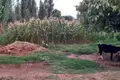 Земельные участки  Ташкент, Узбекистан