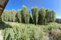 Земельные участки  Букинский район, Узбекистан