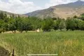Земельные участки  Бостанлыкский район, Узбекистан