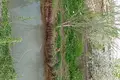 Земельные участки  Нурафшан (Тойтепа), Узбекистан