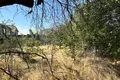Земельные участки  Ташкент, Узбекистан