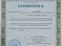 Litsenziya