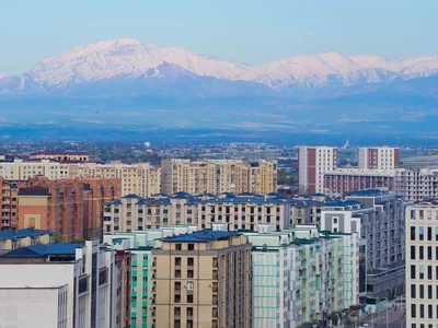Какая недвижимость дорожает быстрее всего в Ташкенте