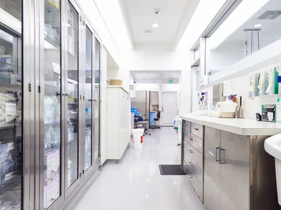 Почему инвесторы всё чаще выбирают помещения для медицинского бизнеса в Узбекистане